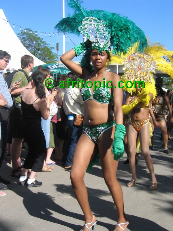 ../Images/AfricaFestival-27-28May05 069.jpg